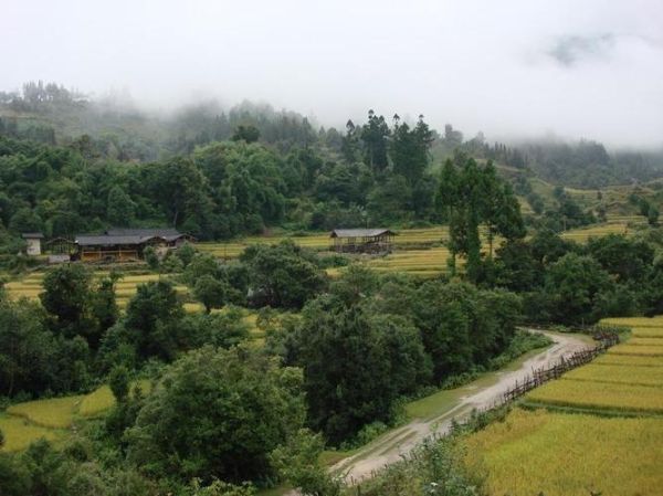 高原村在哪里_高原村有什么特色