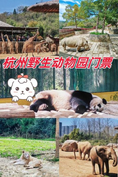 杭州野生动物园冰雪世界好玩吗_门票价格多少