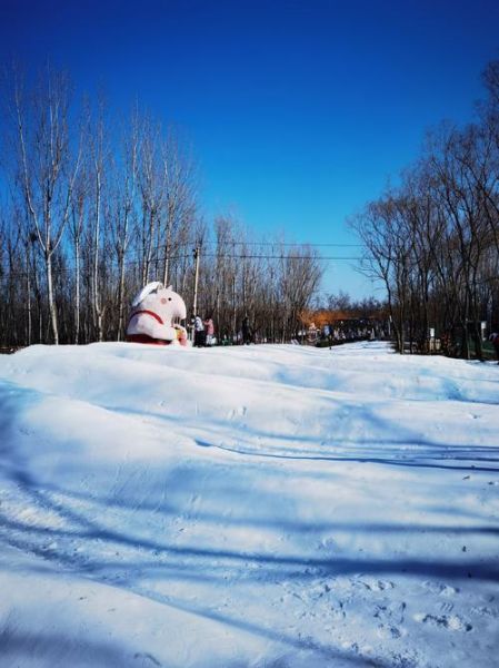 森林冰雪人是什么_森林冰雪人怎么玩