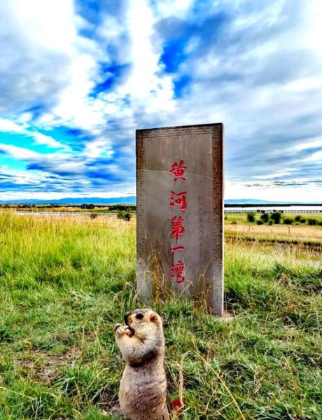 若尔盖有高原反应吗_若尔盖海拔多少米