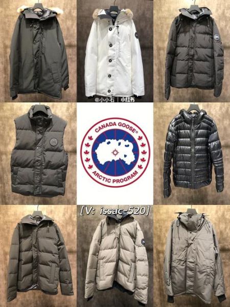 加拿大户外品牌有哪些_始祖鸟和Canada Goose谁更好