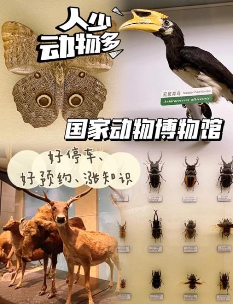 北京动物博物馆门票价格_开放时间