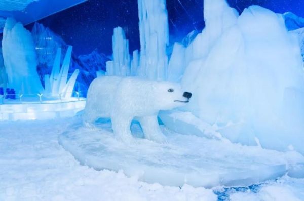 厦门冰雪世界门票多少钱_厦门冰雪世界怎么去