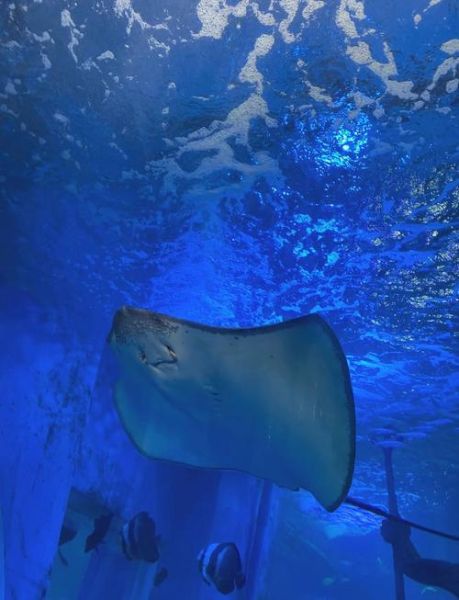 海洋冰雪旅游最佳时间_海洋冰雪景点有哪些