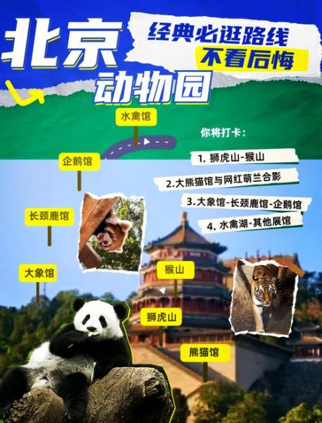 北京动物园熊猫馆门票价格_开放时间