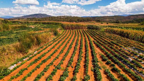 西宁高原农副产品有哪些_西宁高原农副产品价格贵吗