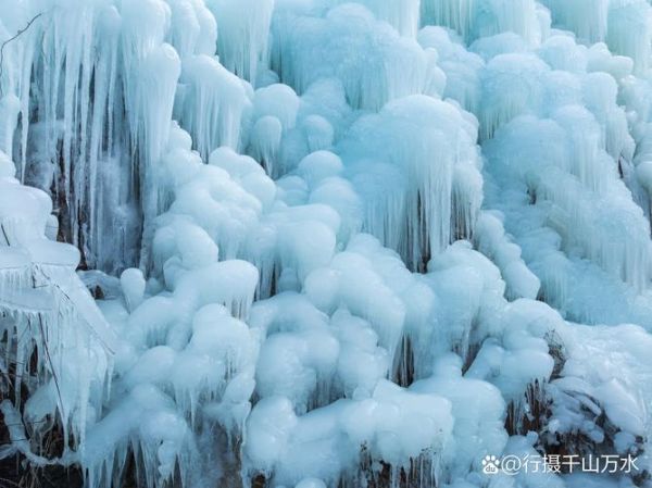 冰雪森林适合几月去_冰雪森林有什么好玩的