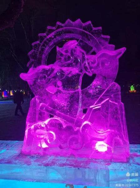 滨河冰雪彩灯艺术节门票价格_值得去吗