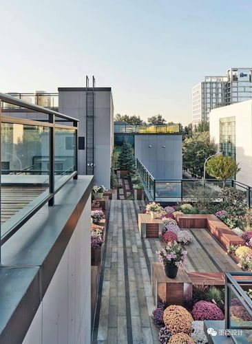 北京市花木有限公司怎么样_北京花木公司服务范围