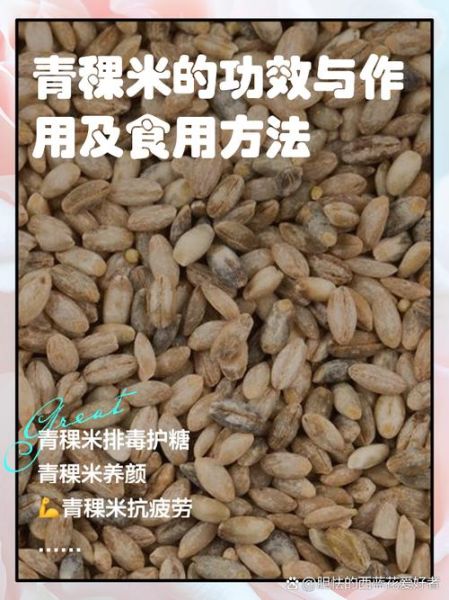 高原青稞怎么吃_高原青稞营养价值