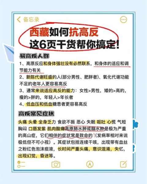 高原地区新陈代谢会变快吗_如何科学适应