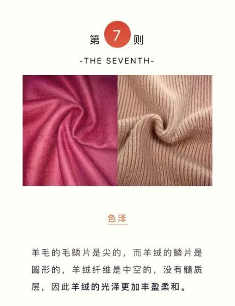 高原毛是什么_高原毛和羊毛的区别