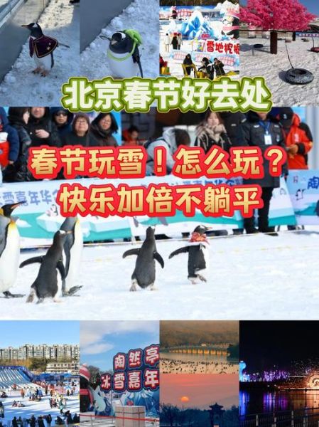北京冬季冰雪去哪玩_北京冰雪节门票多少钱