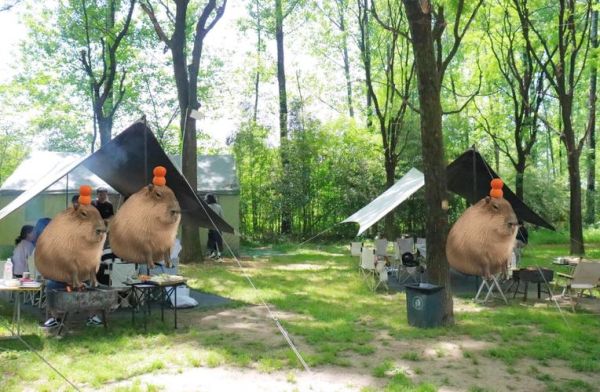 西安北郊户外去哪玩_西安北郊户外烧烤地点推荐