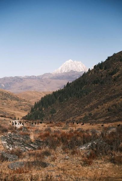 支气管炎去高原危险吗_高原旅行注意事项