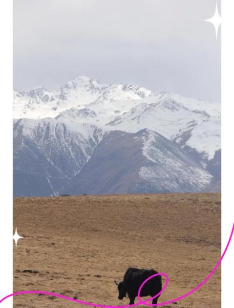 支气管炎去高原危险吗_高原旅行注意事项