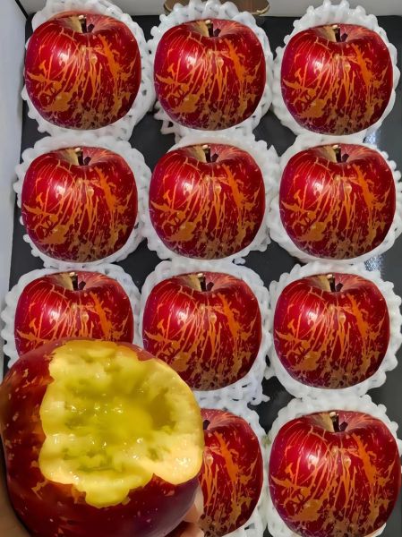 高原冷不冷_高原昼夜温差有多大