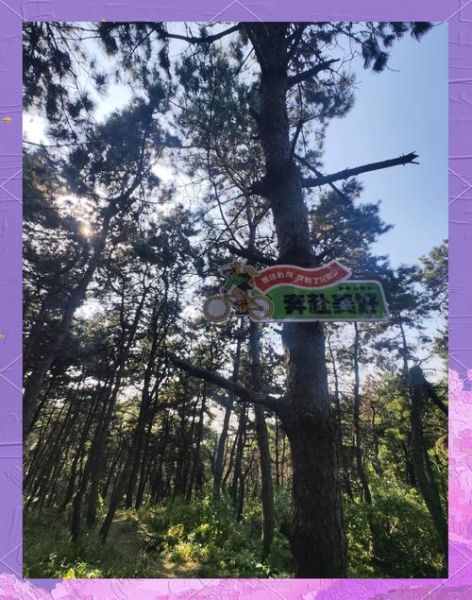 沈阳户外运动群怎么加入_沈阳户外徒步群有哪些