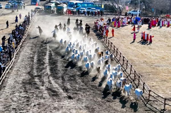 内蒙古冰雪那达慕什么时候举行_门票多少钱