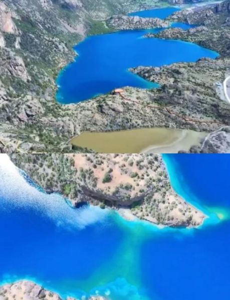 红景天高原反应有用吗_红景天怎么吃抗高反