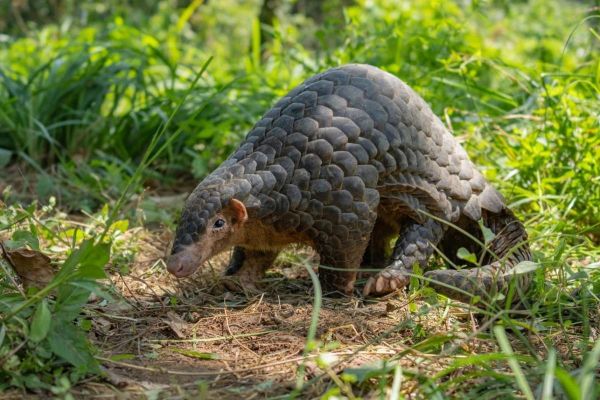宣城穿山甲户外怎么样_值得去吗