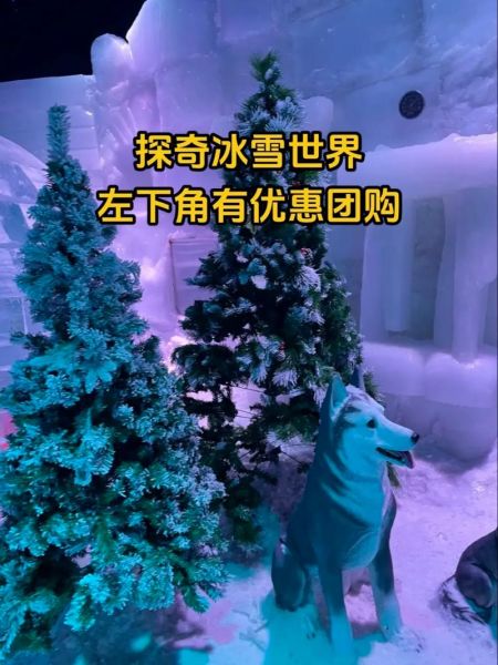 冰冰雪是什么_冰冰雪怎么玩