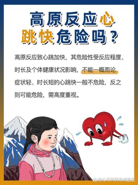 高原心跳快怎么办_高原心跳快正常吗