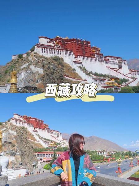 高原安多少钱一盒_高原安价格表2024