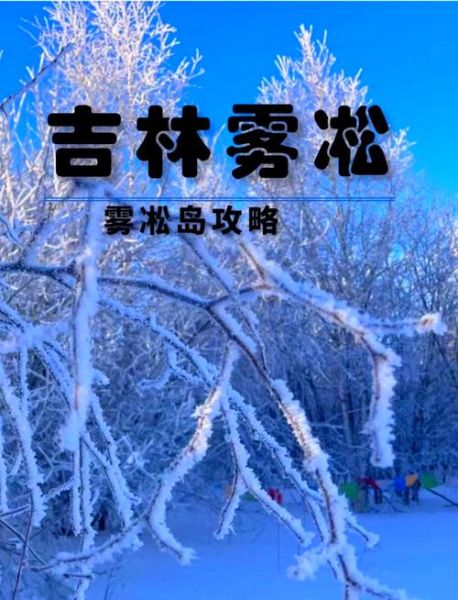 吉林雾凇冰雪节门票价格_吉林雾凇冰雪节最佳观赏时间