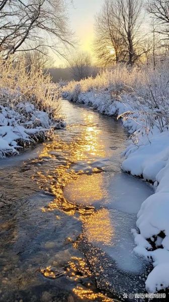 冰雪妖娆是什么_冰雪妖娆怎么读