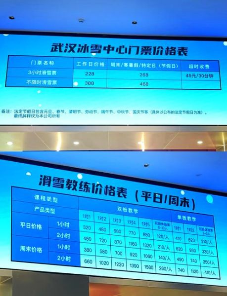 武汉冰雪奇缘在哪里_武汉冰雪奇缘门票多少钱