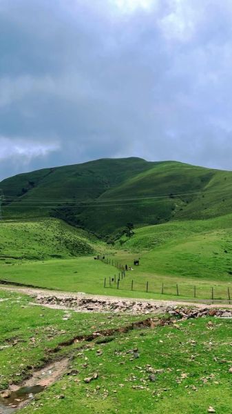 高原牧场在哪里_高原牧场最佳旅游时间