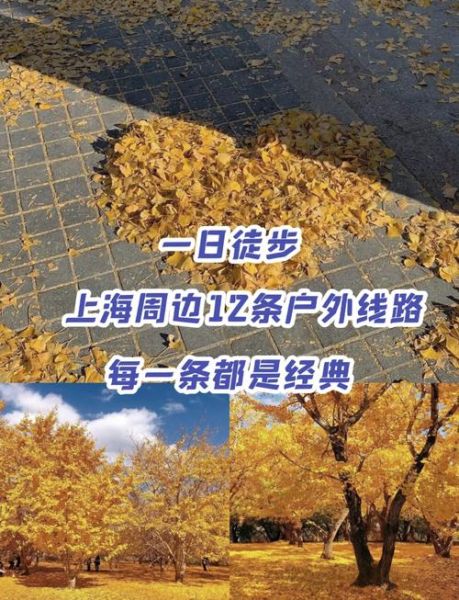 上海户外徒步路线推荐_上海徒步需要准备什么