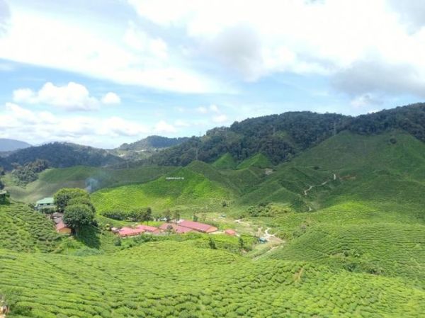 金马伦高原旅游攻略_金马伦高原怎么去