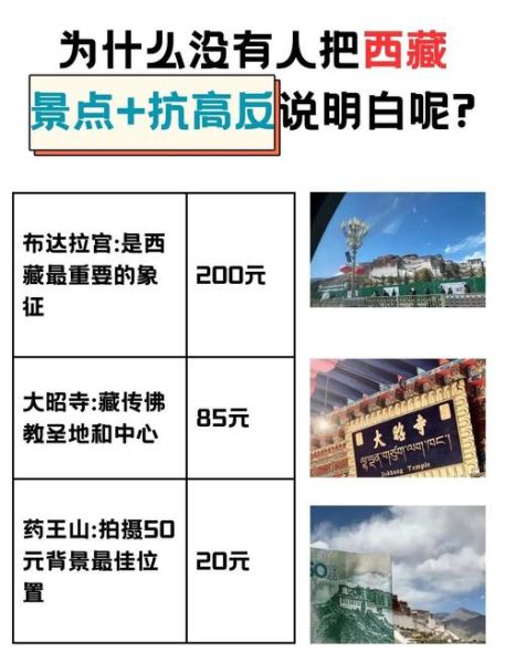 成都飞拉萨高原反应怎么办_拉萨高反预防攻略