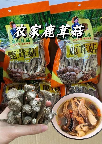 高原土特产有哪些_高原土特产怎么选