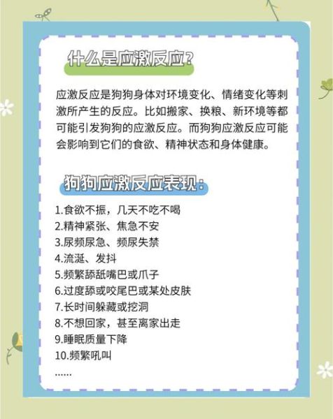 犬高原反应症状_如何预防狗狗高反