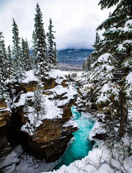 加拿大冰雪旅游最佳时间_加拿大冰雪旅游穿什么
