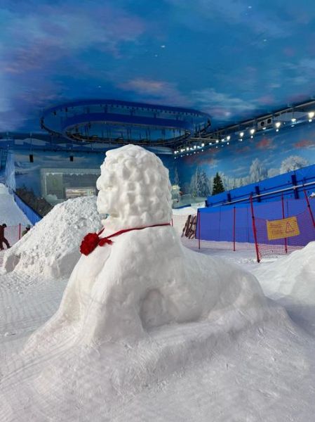 冰雪奇缘武汉哪里看_冰雪奇缘武汉票价多少