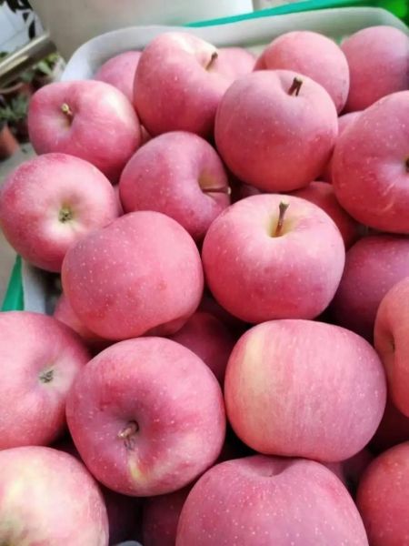 高原水晶富士是什么_高原水晶富士好吃吗