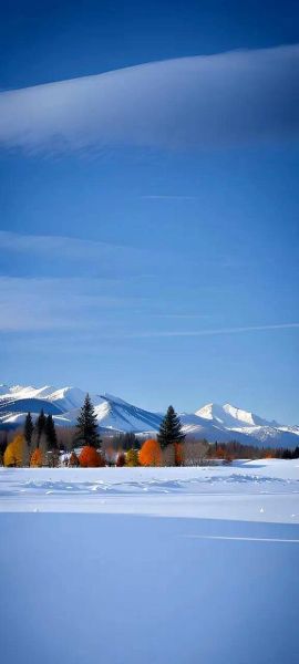 梦幻冰雪图片大全_哪里找高清壁纸