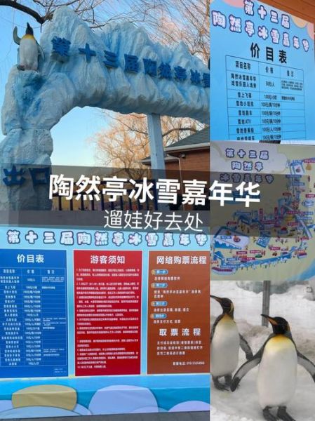 陶然亭冰雪嘉年华门票价格_开放时间