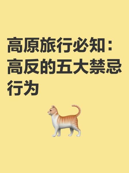 高原禁忌有哪些_高原旅行注意事项