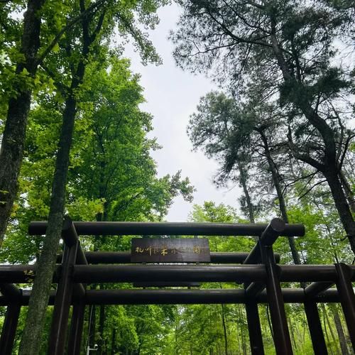 杭州户外论坛_周末去哪爬山