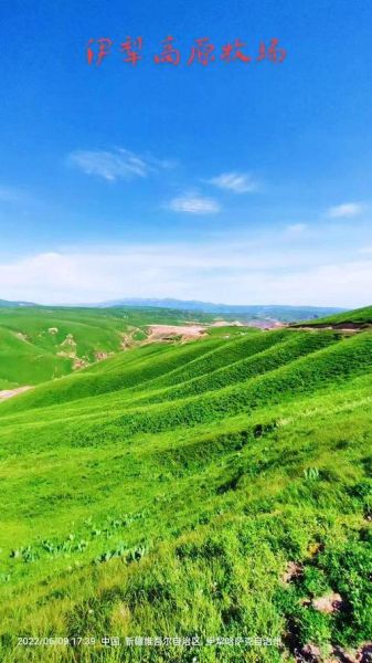 高原的牧场有什么特点_高原牧场旅游最佳时间