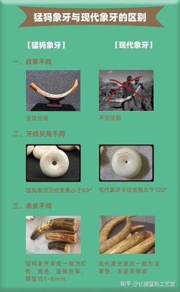 猛犸象户外真假辨别_如何一眼识别正品