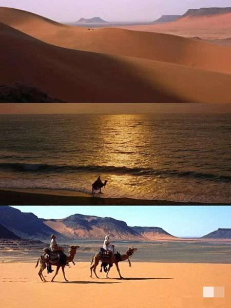 户外冒险电影有哪些经典推荐_如何拍摄户外冒险电影